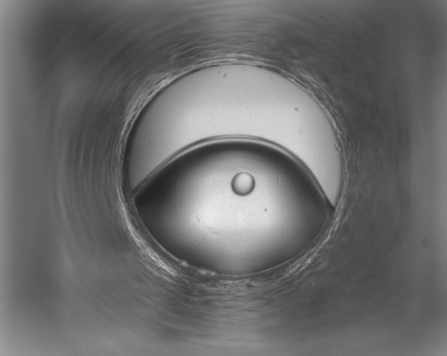 X0000053000049200507221257