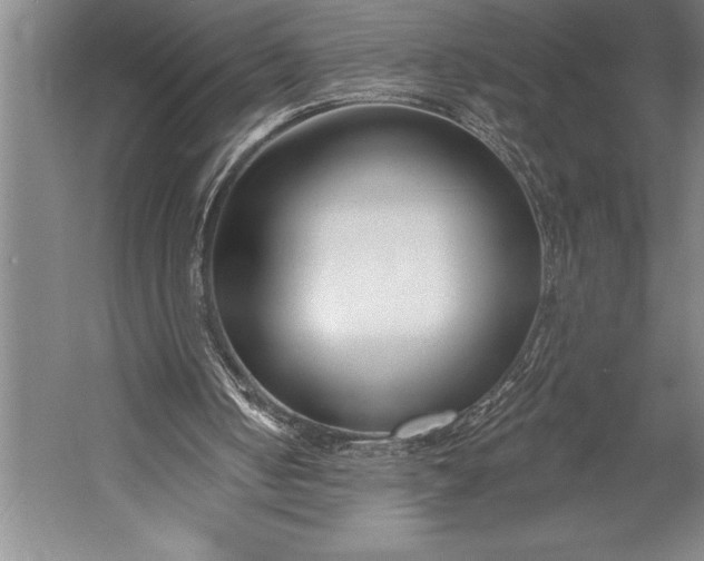 X0000053000050200507221257