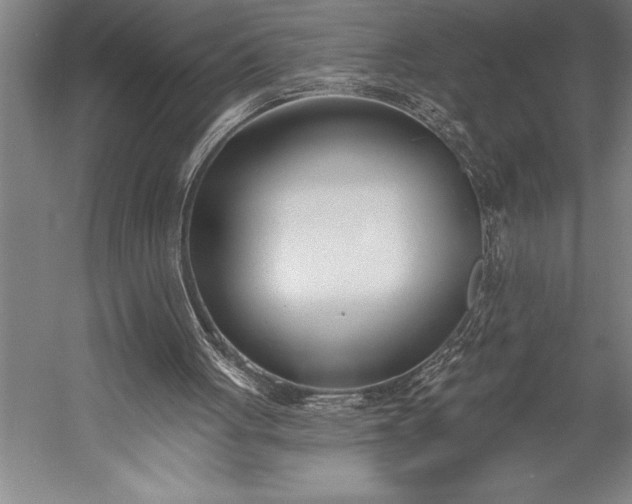 X0000053000051200507221257