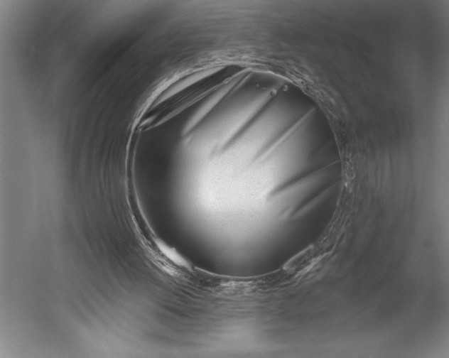 X0000053000052200507221257