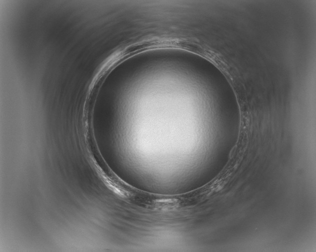 X0000053000053200507221258