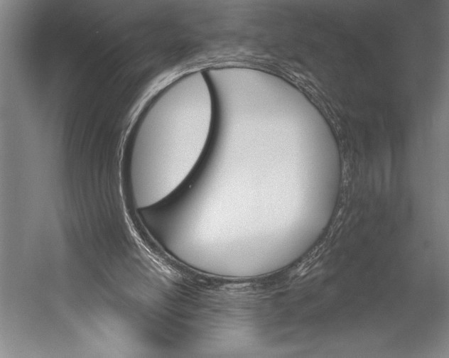 X0000053000054200507221258