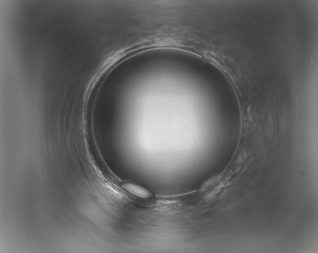 X0000053000055200507221258