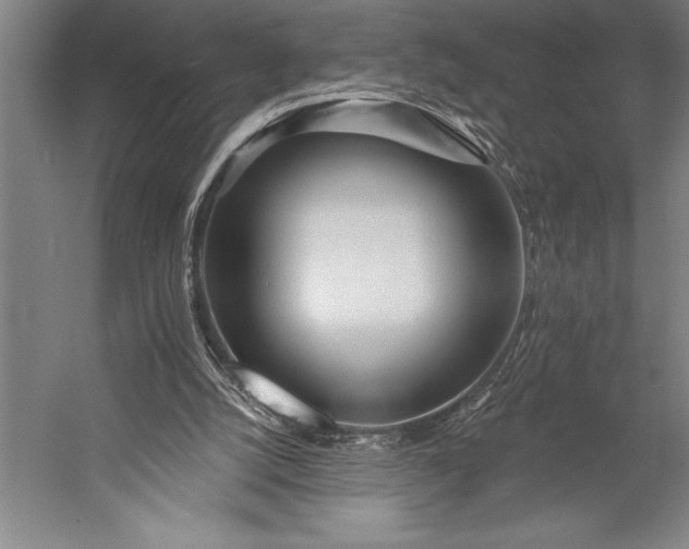 X0000053000056200507221258