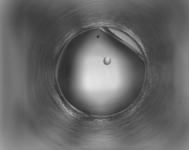 X0000053000057200507221258