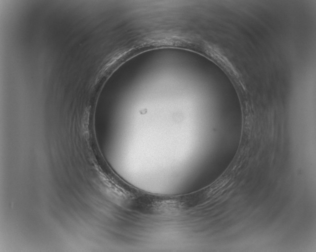 X0000053000058200507221258