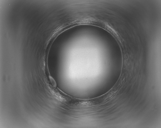 X0000053000059200507221258