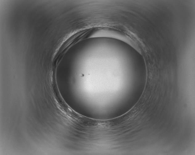 X0000053000060200507221258