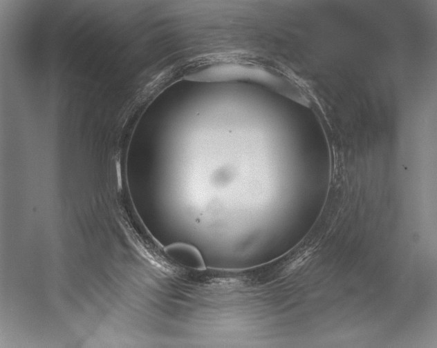 X0000053000061200507221258