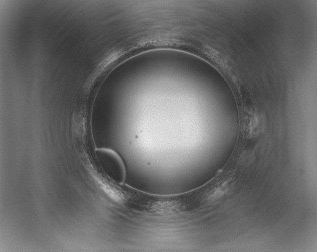 X0000053000063200507221258