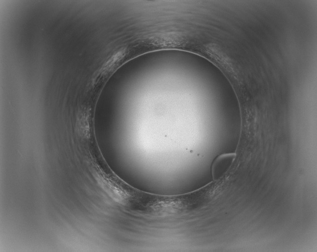 X0000053000065200507221258