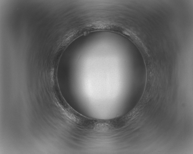 X0000053000066200507221258