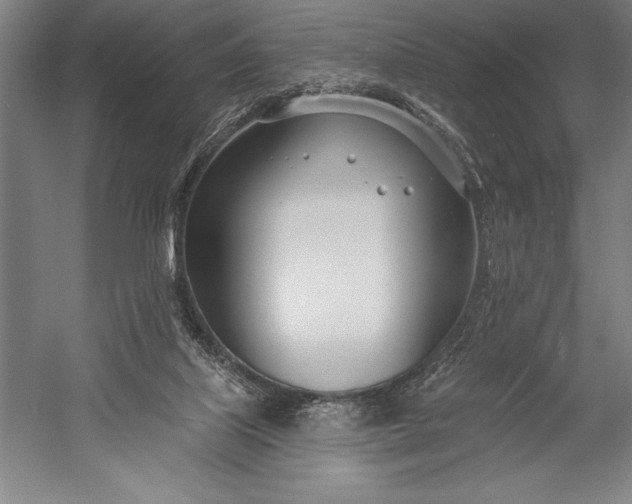 X0000053000067200507221258