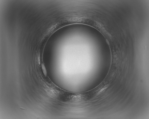 X0000053000068200507221258