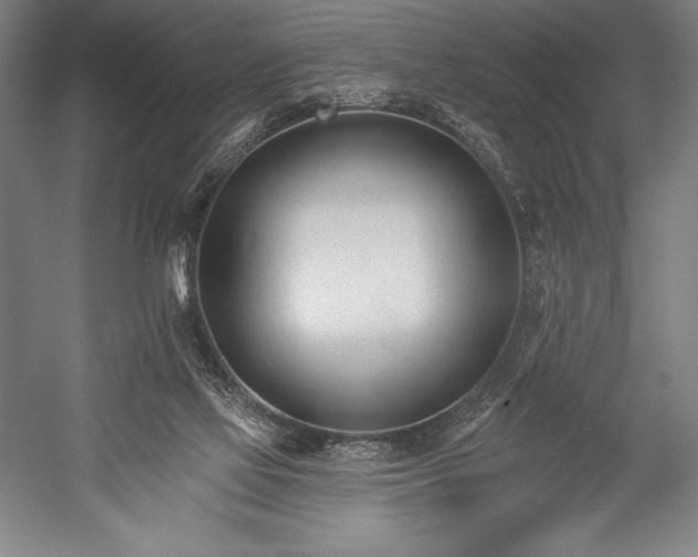 X0000053000069200507221258