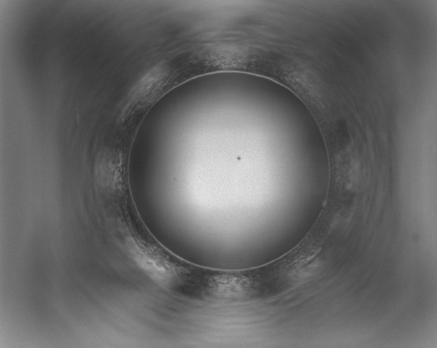 X0000053000073200507221258