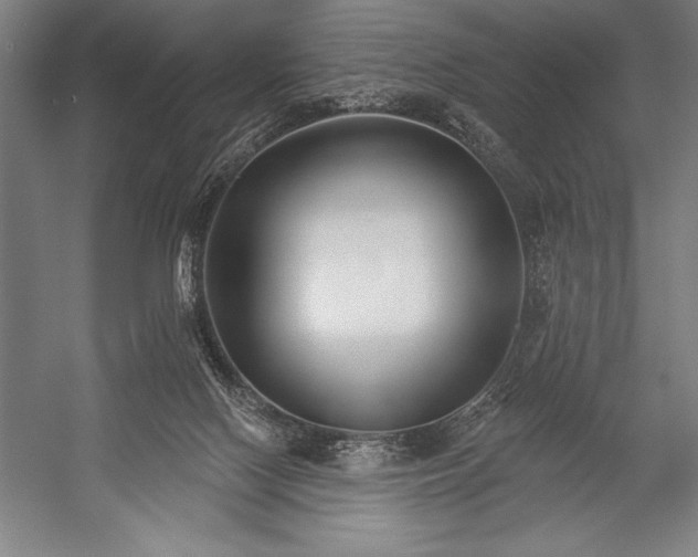 X0000053000074200507221258