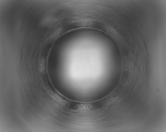 X0000053000077200507221258