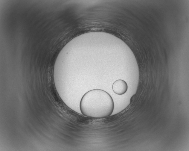 X0000053000078200507221258