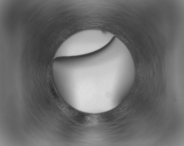 X0000053000079200507221258