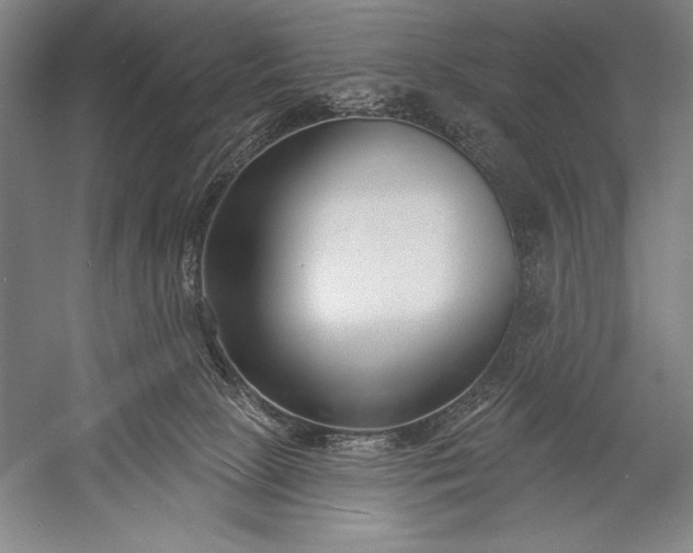 X0000053000081200507221258