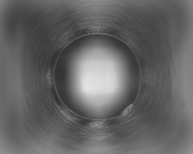 X0000053000086200507221258