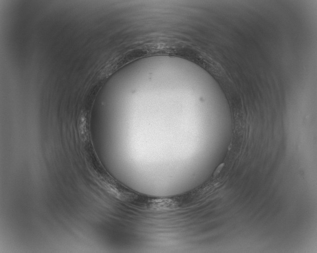 X0000053000087200507221258