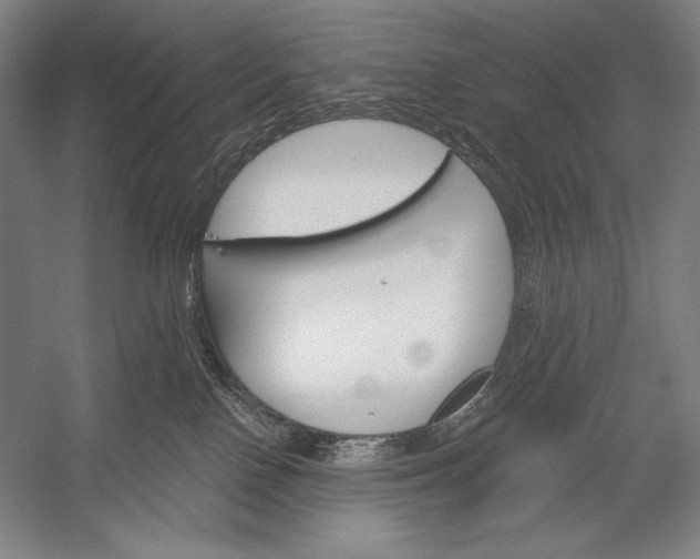 X0000053000090200507221258