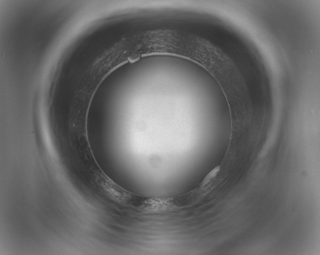 X0000053000093200507221258