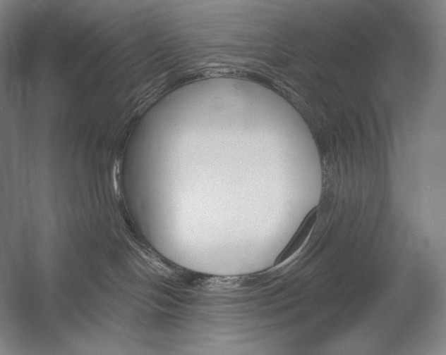 X0000053000094200507221258