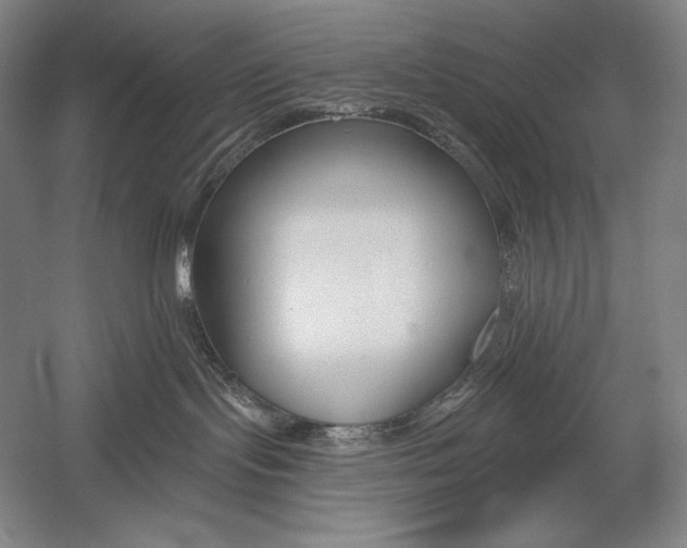 X0000053000095200507221258