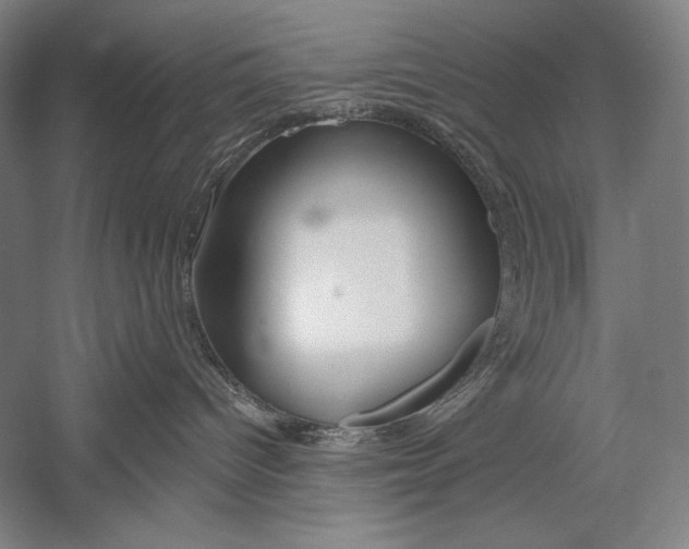 X0000053000096200507221258