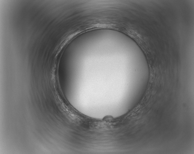 X0000053000098200507221257