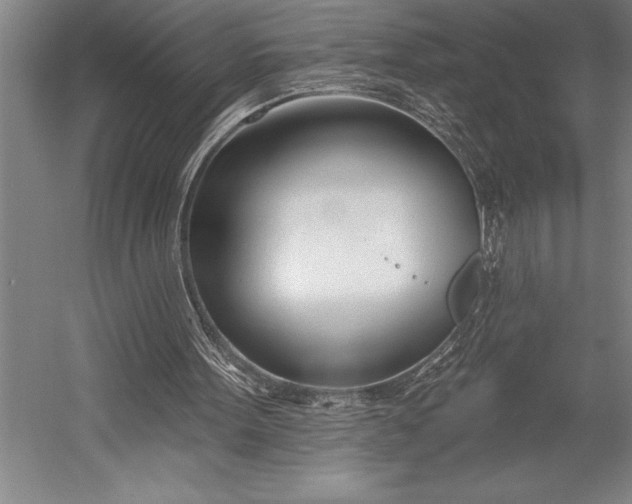 X0000053000099200507221257