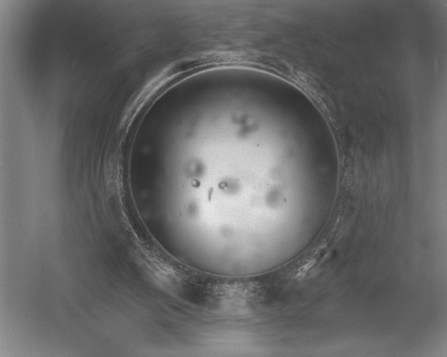 X0000053000103200507221257