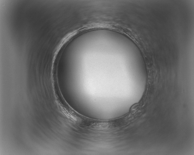 X0000053000104200507221257