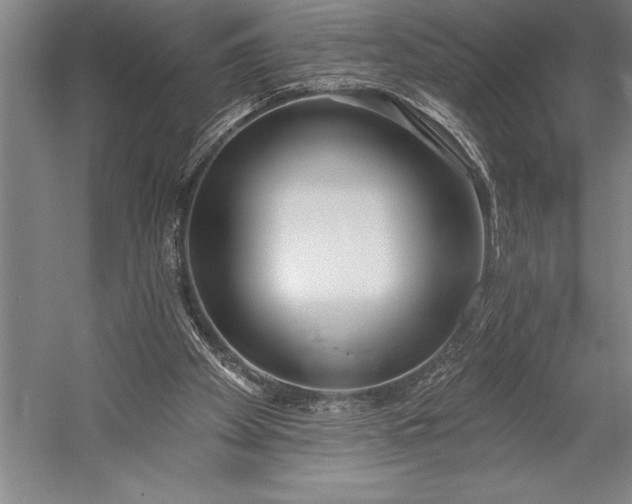 X0000053000105200507221257