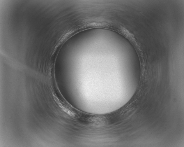 X0000053000106200507221257