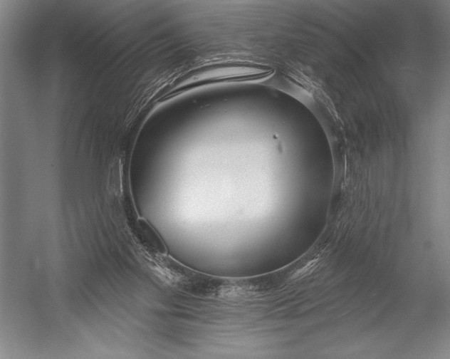 X0000053000109200507221257