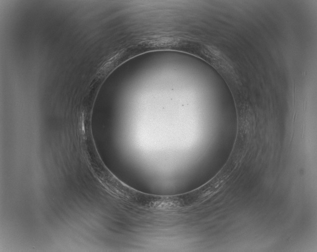 X0000053000115200507221257