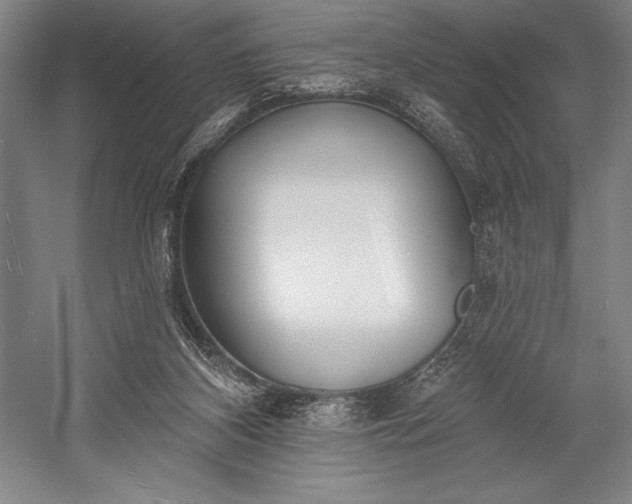 X0000053000116200507221257