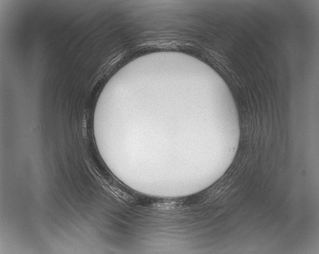 X0000053000120200507221257