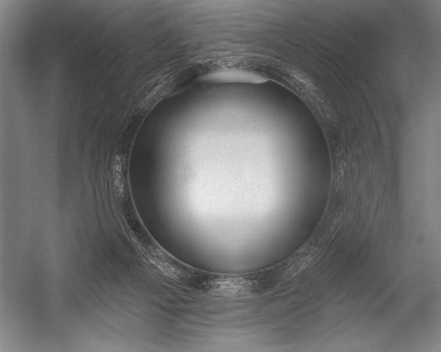 X0000053000121200507221257