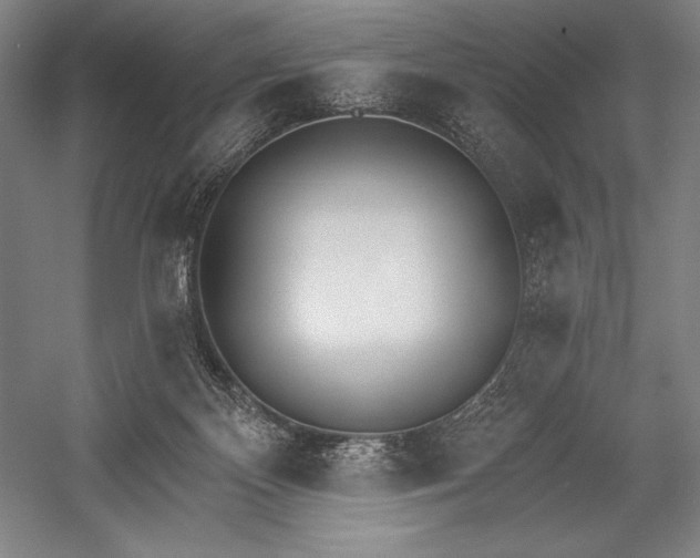 X0000053000124200507221257