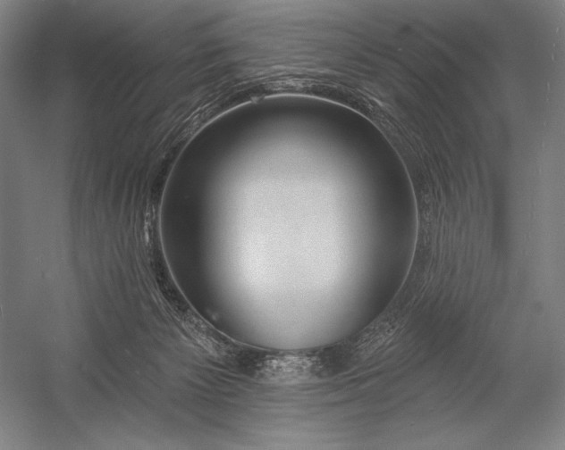 X0000053000125200507221257