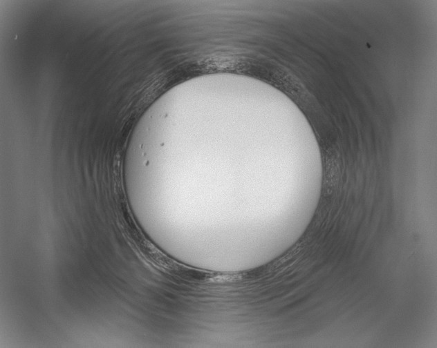 X0000053000126200507221257