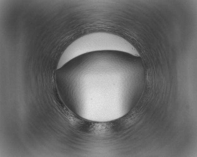 X0000053000127200507221257