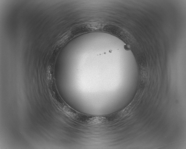 X0000053000128200507221257