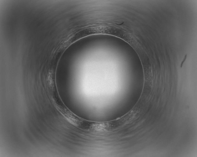 X0000053000131200507221257