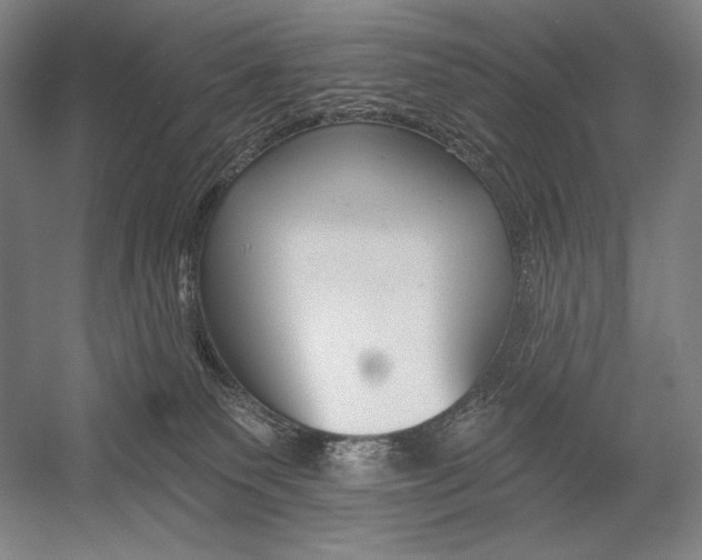 X0000053000135200507221257